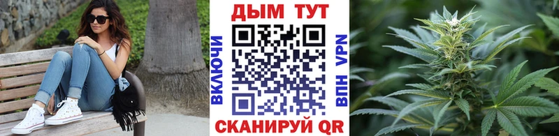 Канабис семена  Туринск 